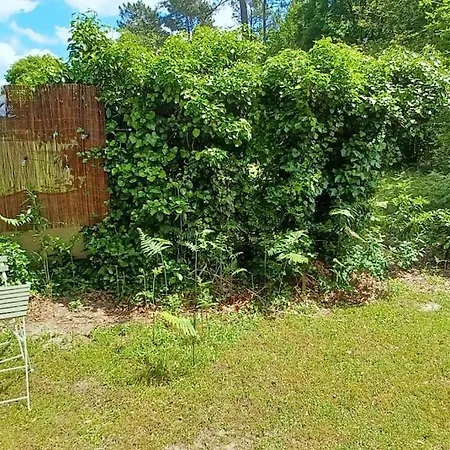 La Tiny House Villa Saint-Vincent-de-Paul  Exterior photo